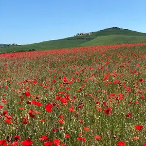 Gospodarstwo agroturystyczne Poggio Tobruk